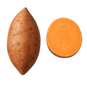 Batat (Wilec Ziemniaczany)