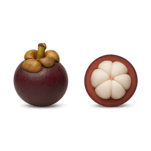 Mangostan (100g)