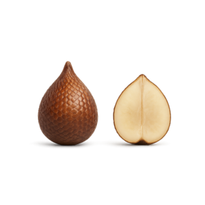 Salak (Owoc Wężowy)