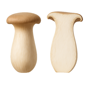 Eryngii (Boczniak Mikołajkowy)