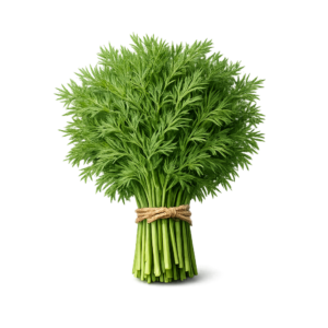 Koperek Świeży (100g)