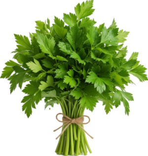 Lubczyk Świeży (100g)