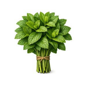 Mięta Świeża (100g)