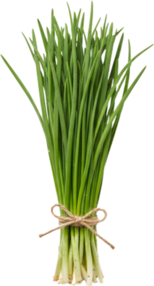 Szczypiorek Świeży (100g)