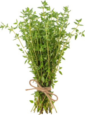 Tymianek Świeży (100g)